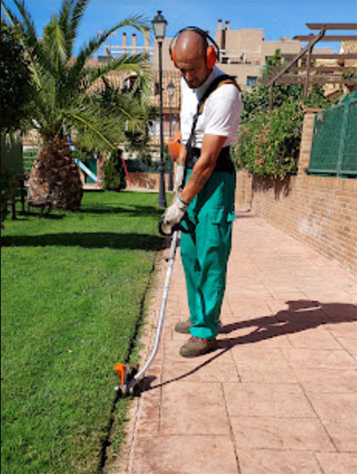 Empresa de jardinería en Griñón y Madrid sur para el mantenimiento de jardines, comunidades de propietarios, chalets y empresas