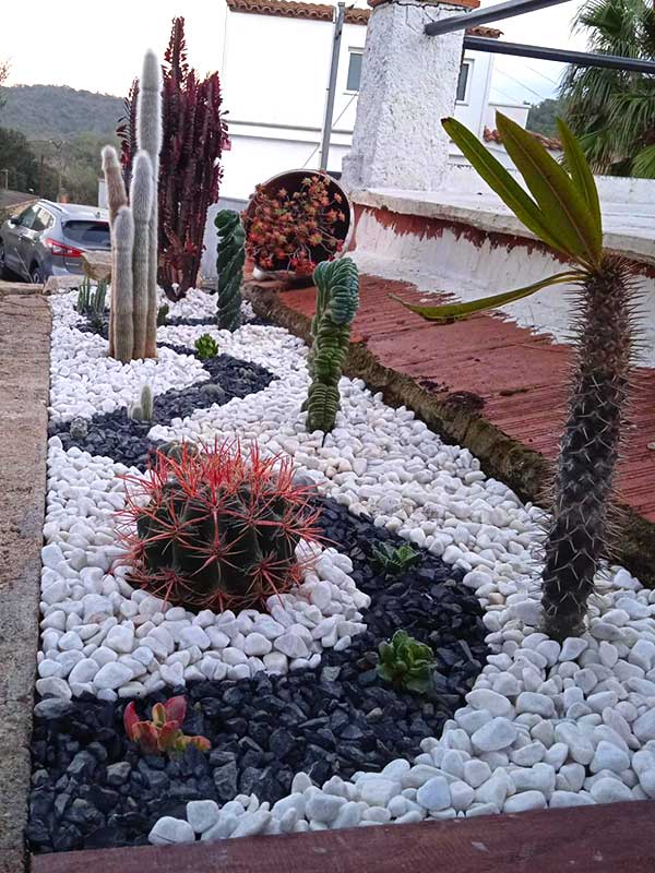 Jardines de bajo mantenimiento en Madrid