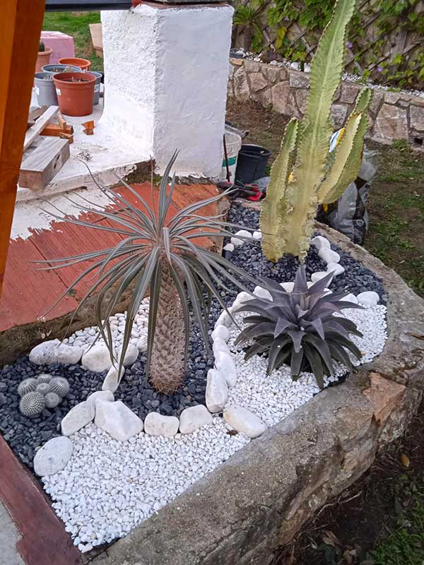 Diseño de jardines de bajo mantenimiento